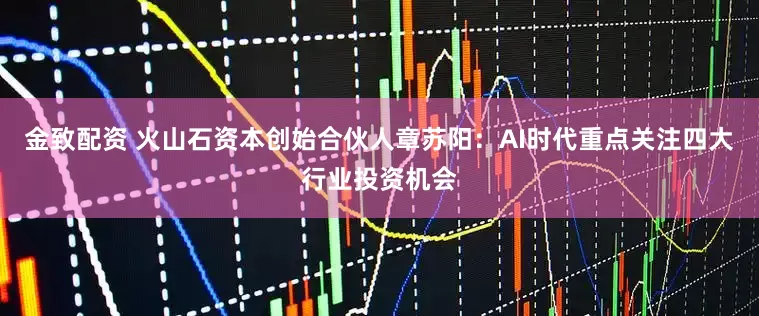 金致配资 火山石资本创始合伙人章苏阳：AI时代重点关注四大行业投资机会