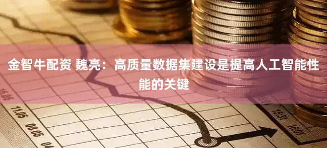 金智牛配资 魏亮：高质量数据集建设是提高人工智能性能的关键